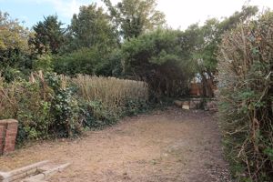 Garden- click for photo gallery